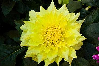 恐怖游戏《荒凉避难所》Steam试玩版上线 受生化启发